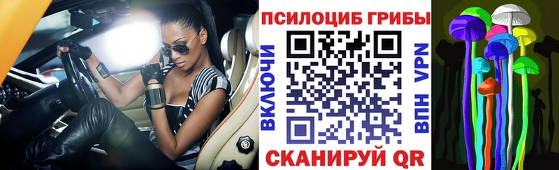 Галлюциногенные грибы Psilocybe Удомля